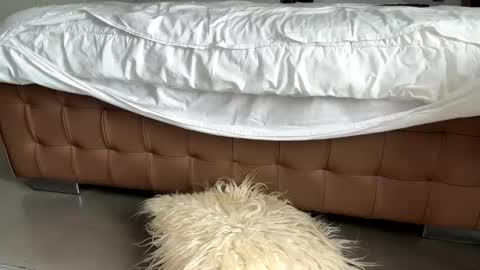 djfuckoff online show from 03.02.26