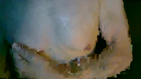 mikenyc55 online show from 10.04.25