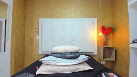          online show from 02.20.26