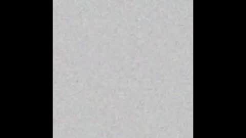 milehighcock5280 online show from 10.31.25