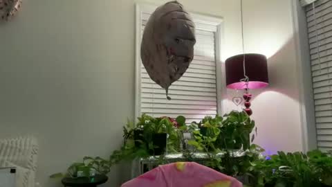 Snapshot of milf_goddess chatting on 07.13.26 MIlf Goddess online show from 07.13.26