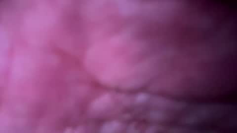 Snapshot of milff33 chatting on 05.15.26 milff33 online show from 05.15.26