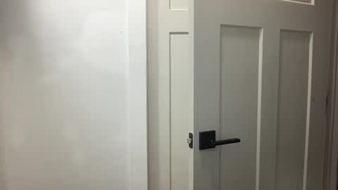 HungCollege online show from 11.17.25