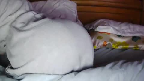 MilfyTitts online show from 10.16.25