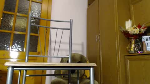 Snapshot of milk_and_hon3y chatting on 12.04.24 Im to see you here Pvts are open I love patterns soo much online show from 12.04.24