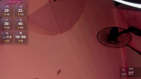 Ana Maria online show from 02.01.25