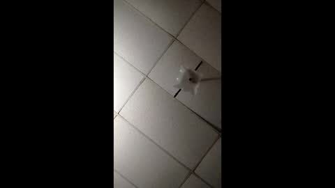 Snapshot of miloanj chatting on 11.07.25 miloanj online show from 11.07.25