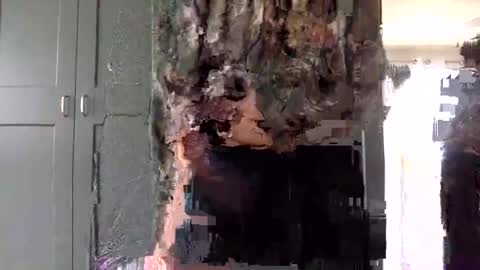 Snapshot of mince_alors chatting on 11.24.25 mince_alors online show from 11.24.25