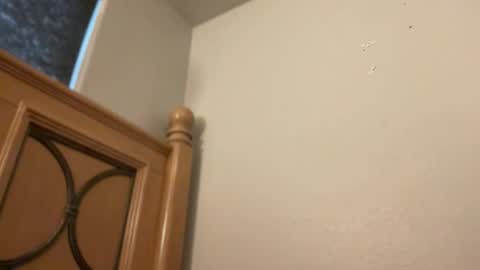 Minx online show from 02.11.26