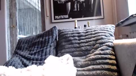 Snapshot of miracolix_030 chatting on 02.10.26 Ben online show from 02.10.26