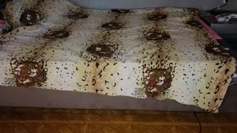 Snapshot of mirahardmanxx chatting on 11.10.25 Happy New Year online show from 11.10.25