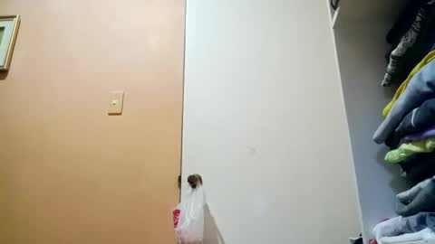 Snapshot of mirana_xxx chatting on 10.30.25 Im Ping online show from 10.30.25