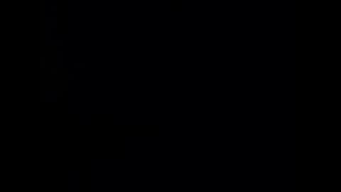 Snapshot of mis_eva chatting on 02.25.25 Eva online show from 02.25.25