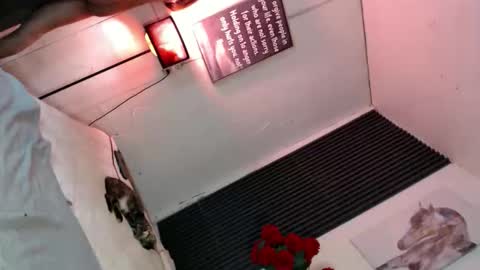 Snapshot of miss_bella69 chatting on 11.05.25 miss_bella69 online show from 11.05.25