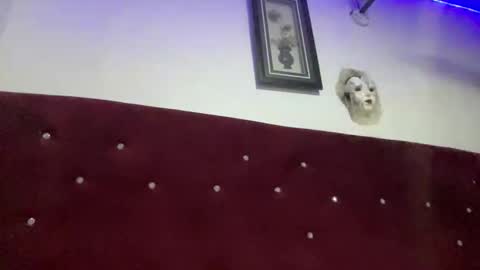 Snapshot of missbellerina chatting on 02.28.26 Missbelle online show from 02.28.26