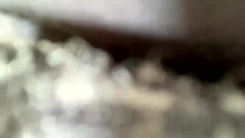 Snapshot of mistajay90 chatting on 09.08.25 mistajay90 online show from 09.08.25