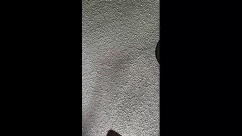 Snapshot of mister_nasty chatting on 10.03.25 mister_nasty online show from 10.03.25