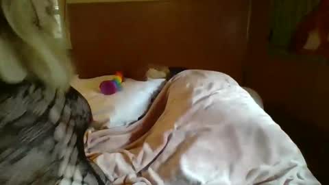 Snapshot of mitchellebunny7 chatting on 02.05.25 MichelleBunny7 online show from 02.05.25