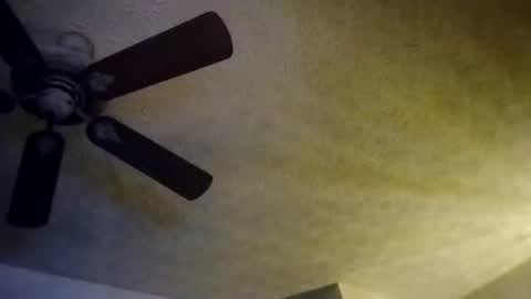 BobbyMitchGa online show from 10.10.25