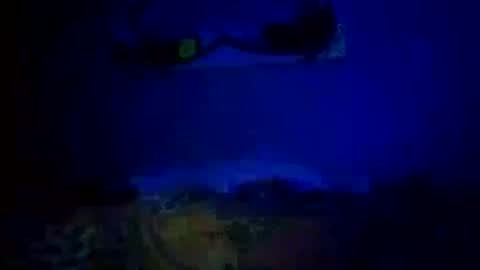 Snapshot of mjmckenz55 chatting on 10.14.25 Daddy720 online show from 10.14.25