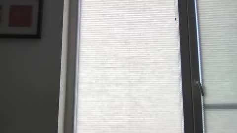 mko88951 online show from 04.22.26