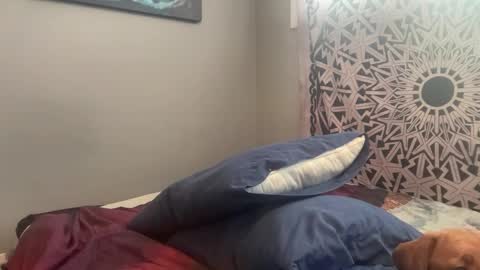 MNTuiLa online show from 02.15.25