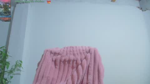 Catalina online show from 12.16.24