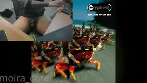 Snapshot of moira_core chatting on 07.24.26 moira_core online show from 07.24.26