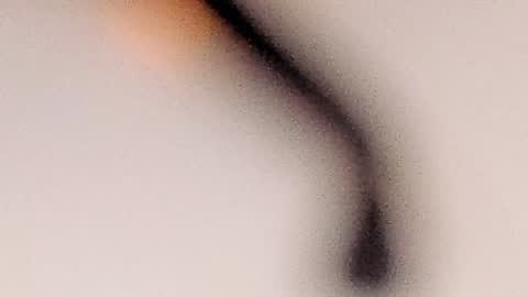 Molly Evanss online show from 01.23.25