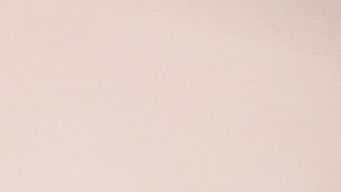 Molly Evanss online show from 01.28.25