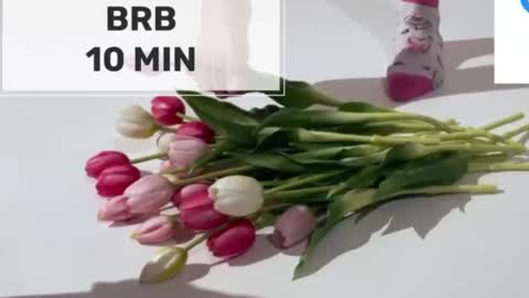 Mommy online show from 03.02.26