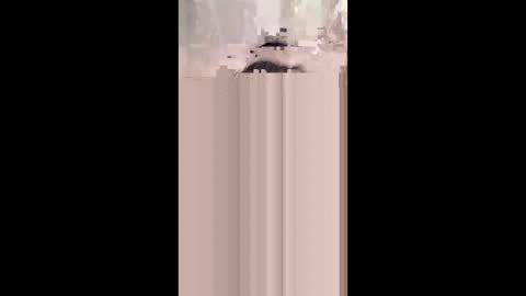 Snapshot of monicahmuchira49 chatting on 01.08.26 shirybeb online show from 01.08.26