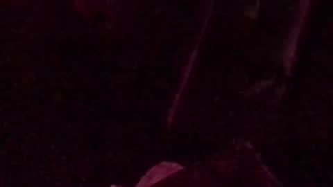 Snapshot of montydxxx2 chatting on 09.14.25 montydxxx2 online show from 09.14.25