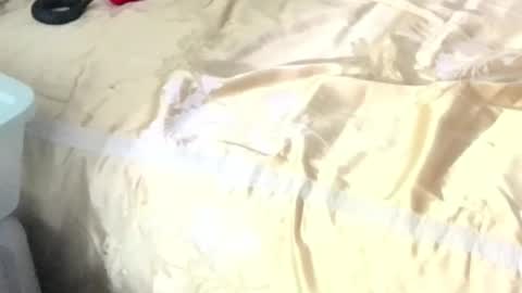 montydxxx2 online show from 02.15.26