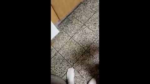 Snapshot of moos1 chatting on 10.04.25 moos1 online show from 10.04.25