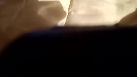 Snapshot of moos1 chatting on 10.21.25 moos1 online show from 10.21.25