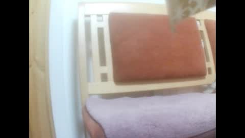 moos1 online show from 03.02.26