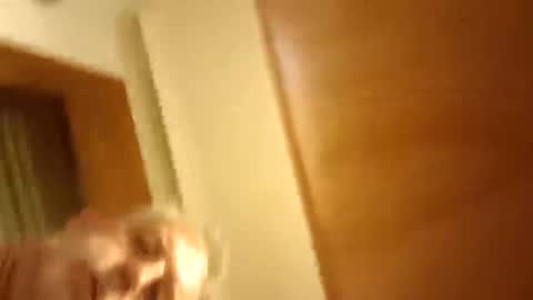 moos1 online show from 03.08.26