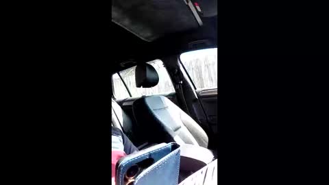 Snapshot of mospeleu chatting on 03.14.26 Nomadu online show from 03.14.26