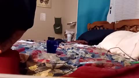 Snapshot of mottsmuff chatting on 02.04.25 B online show from 02.04.25