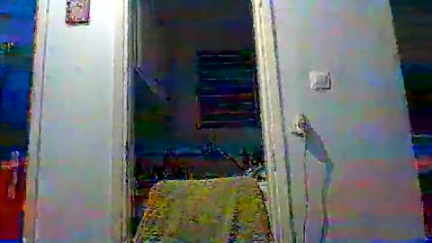 mppempis81 online show from 11.19.25