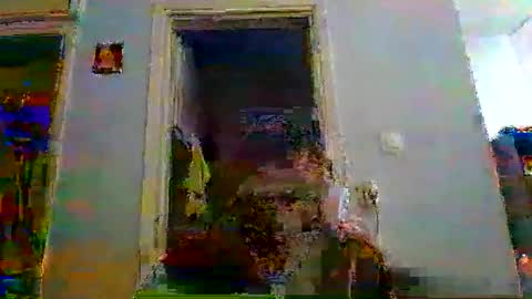 mppempis81 online show from 01.05.26