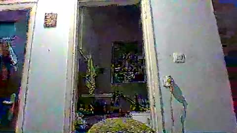 mppempis81 online show from 01.08.26