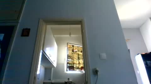 mppempis81 online show from 04.21.26