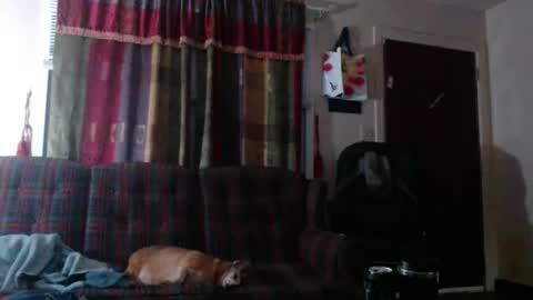 mr_happy12 online show from 11.15.25