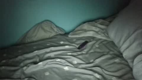 mrbig47xo online show from 02.09.26