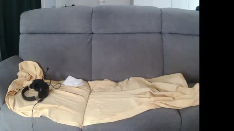 Snapshot of mreurope69 chatting on 12.05.24 I am Hardy online show from 12.05.24