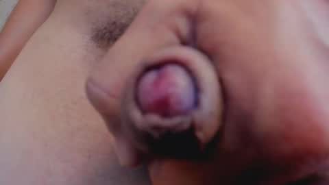 MrFrank. online show from 11.15.25