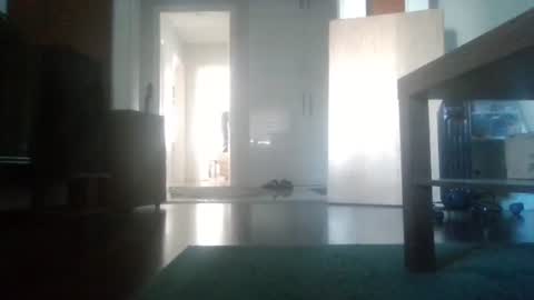 Snapshot of mrhandsomelovee chatting on 02.06.26 Nikola online show from 02.06.26