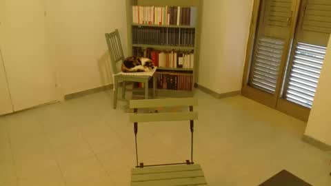 mrkurt86 online show from 11.19.25